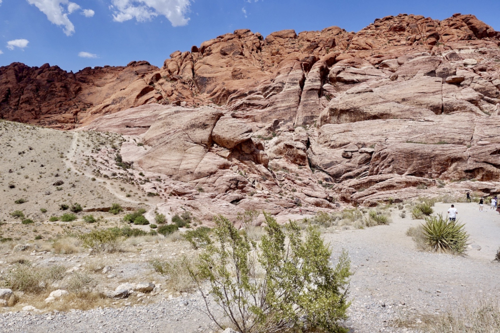 Red Rock Canyon State Park Nevada USA Red Rock Canyon State Park Nevada USA